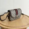 This Ophidia series GG mini shoulder bag