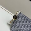 Diorstar Hobo túi xách thời trang