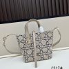 Dior Toujours / Túi xách tay theo chiều dọc