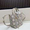 Dior Toujours / Túi xách tay theo chiều dọc
