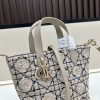 Dior Toujours / Túi xách tay theo chiều dọc