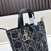 Dior Toujours / Túi xách tay theo chiều dọc