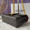 Celine, một chiếc túi da bò cỡ trung